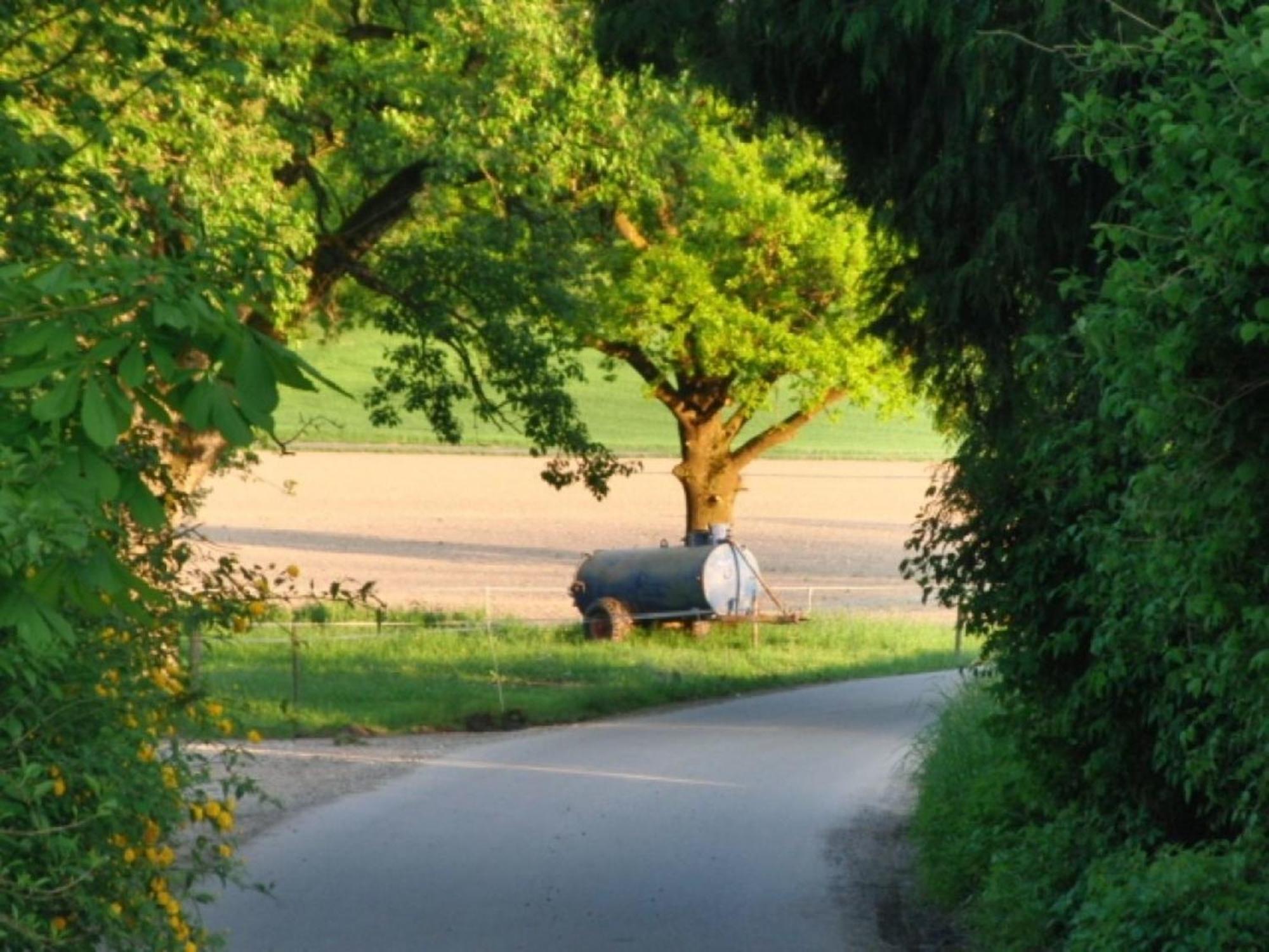 Roesslerhof Ferienwohnung Roesslerweiher Schlier Bagian luar foto